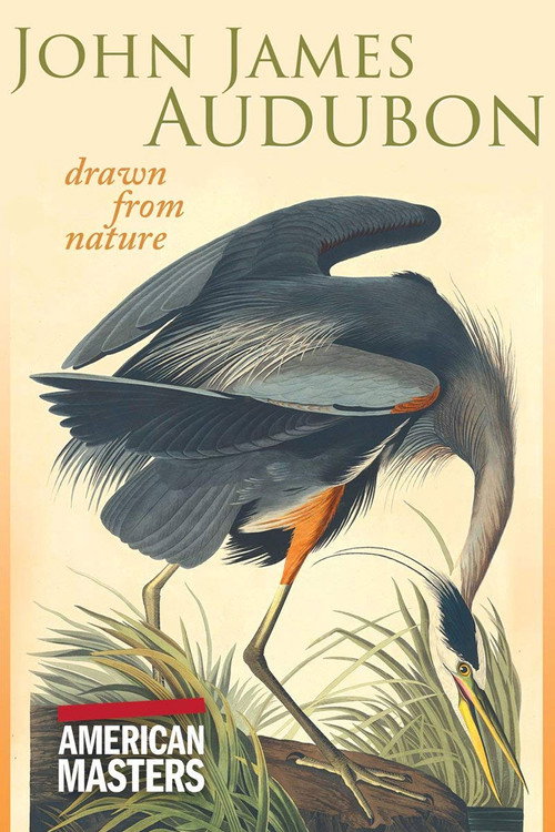Movie poster for John James Audubon: Drawn from Nature (2007)