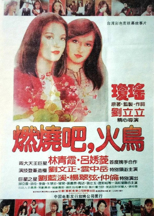 Movie poster for Burn Phoenix Burn (1982)