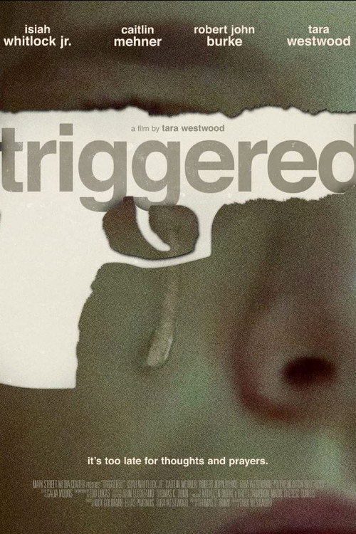 Movie poster for Triggered (2022)