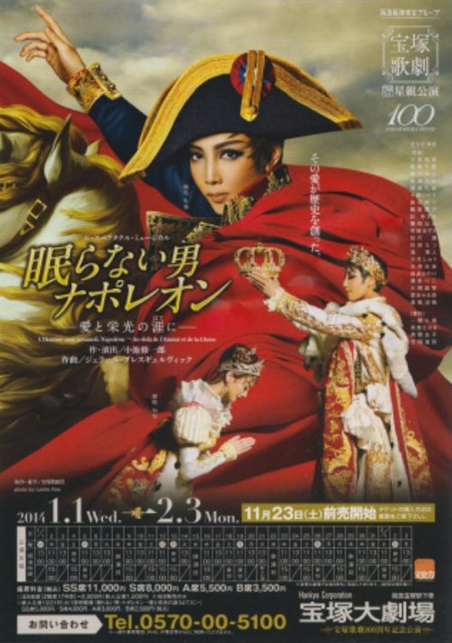 Movie poster for Napoléon, the Man Who Never Sleeps ~At the End of His Love and Glory~ (2014)