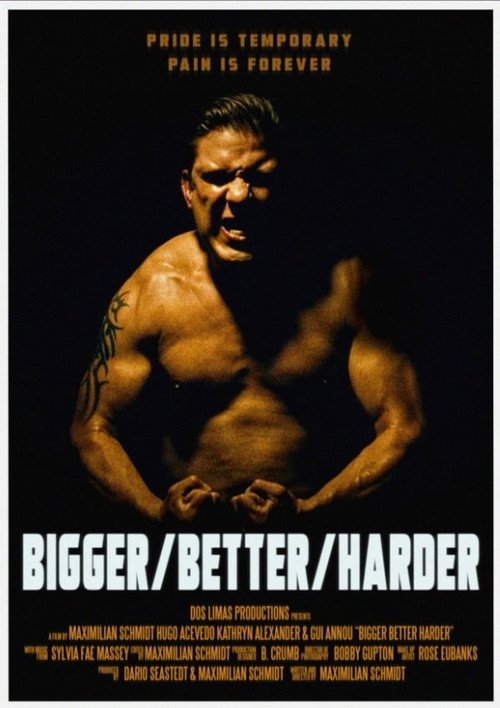 Movie poster for Bigger/Better/Harder