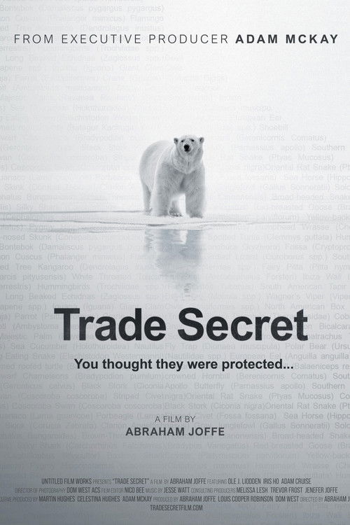 Movie poster for Trade Secret (2025)