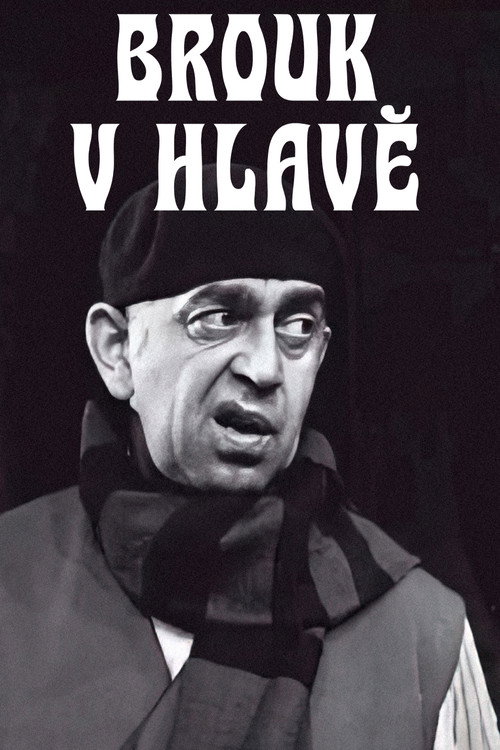 Movie poster for Brouk v hlavě (1970)