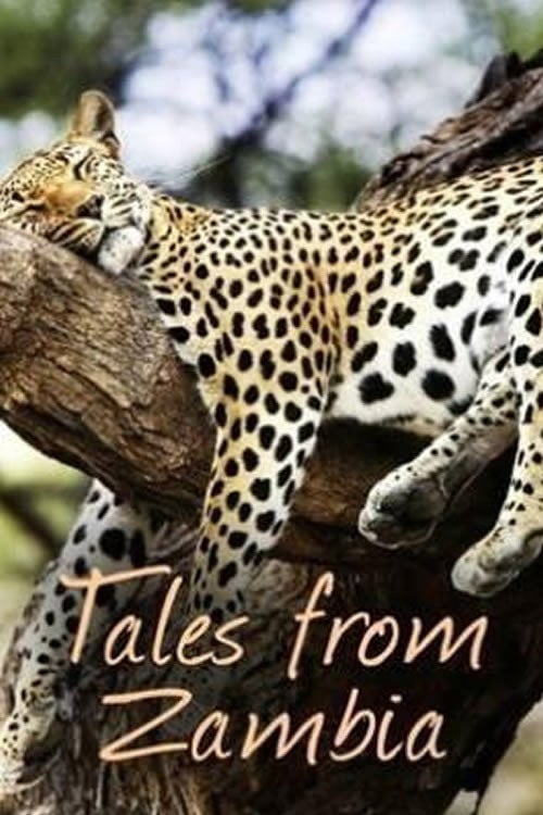 Series poster for Tales from Zambia (2017)