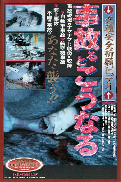 Movie poster for What Happens When You Have An Accident: Traffic Safety (1998)