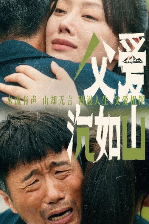 父爱沉如山 poster