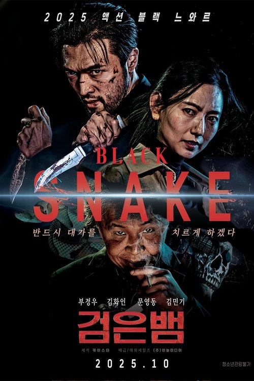 Movie poster for Black Snake (2025)