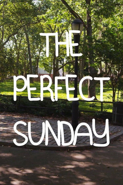Movie poster for The Perfect Sunday (2012)