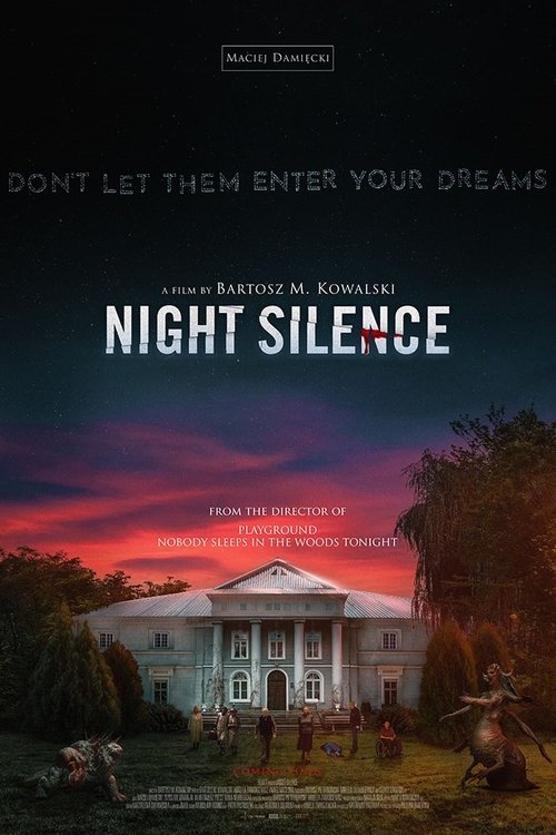 Movie poster for Night Silence (2024)