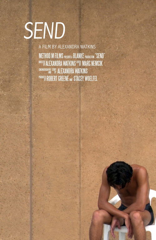 Movie poster for SEND (2017)