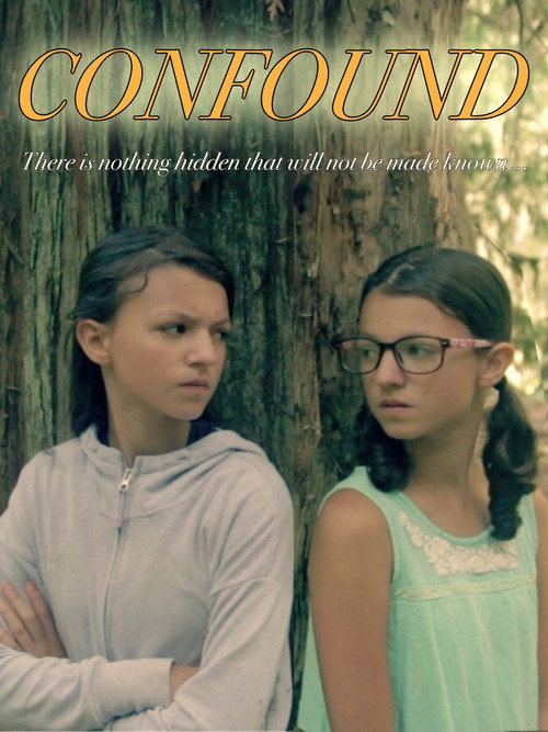 Movie poster for Confound (2019)