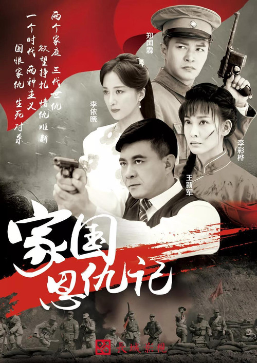 家国恩仇记 poster