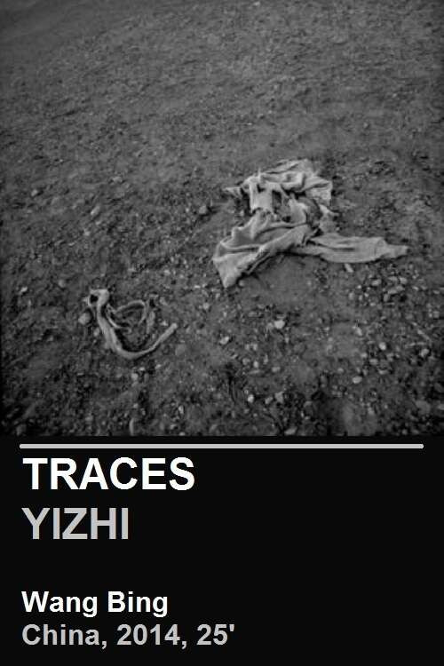 Movie poster for Traces (2014)