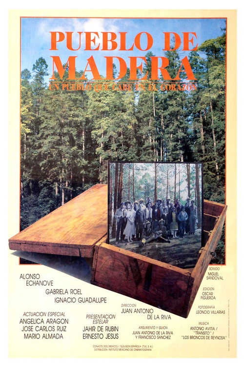 Movie poster for Wooden Town (1990)