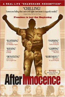 Movie poster for After Innocence (2005)