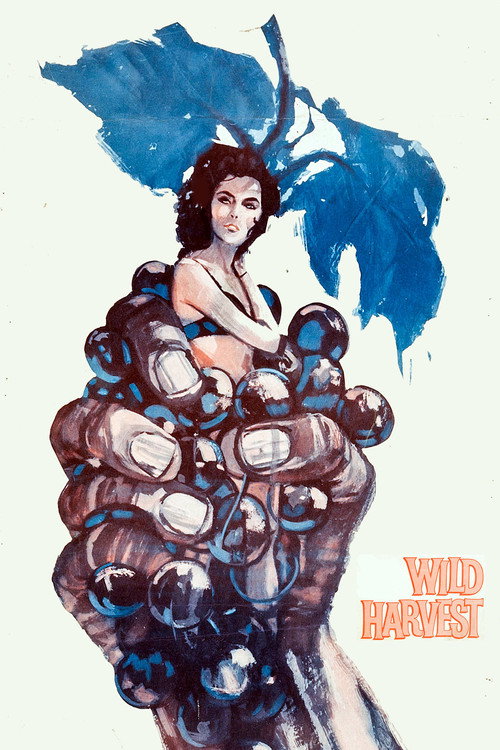 Movie poster for Wild Harvest (1962)
