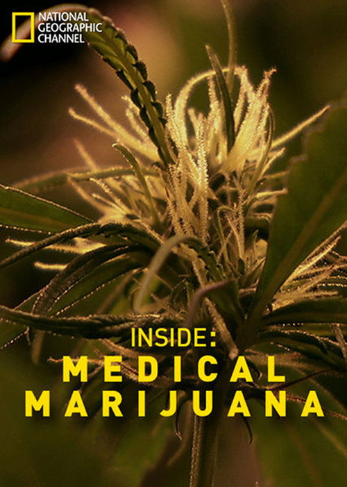 Movie poster for Inside: Medical Marijuana (2011)