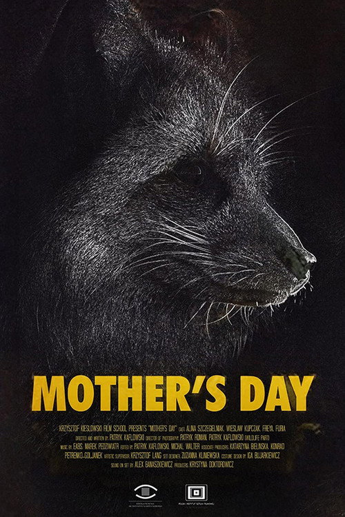 Movie poster for Mother's Day (2021)