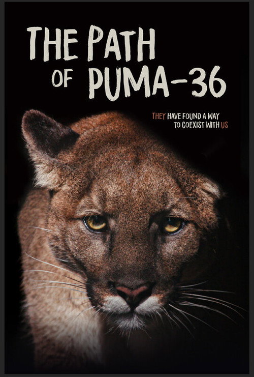 Movie poster for The Path of Puma-36 (2025)