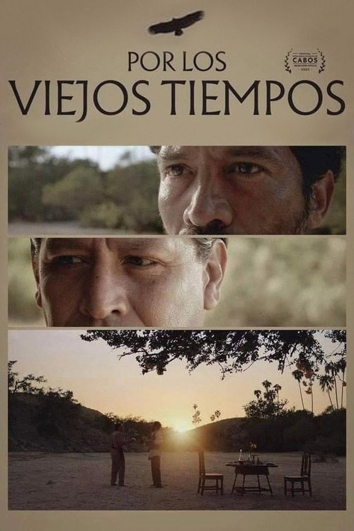 Movie poster for For Old Times' Sake (2022)