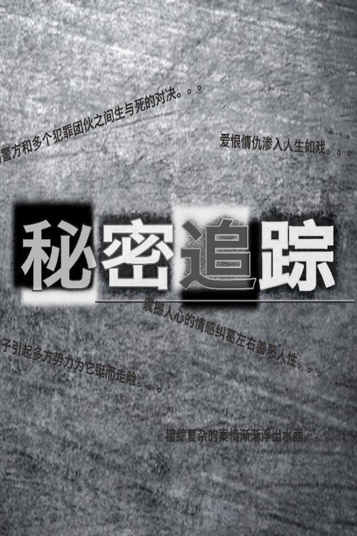 秘密追踪 poster