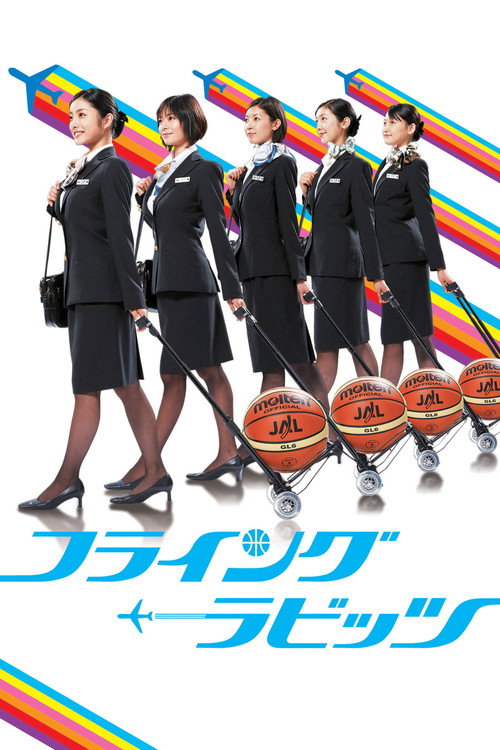 Movie poster for Flying Rabbits (2008)