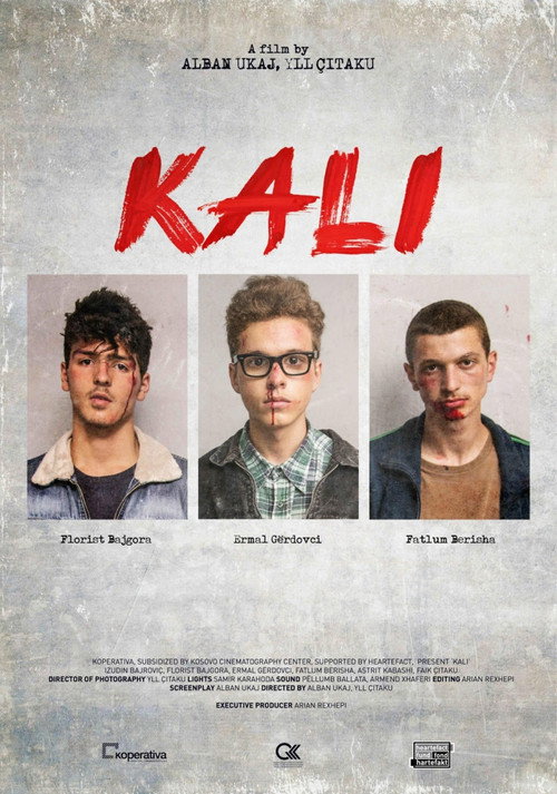 Movie poster for Horse (2014)