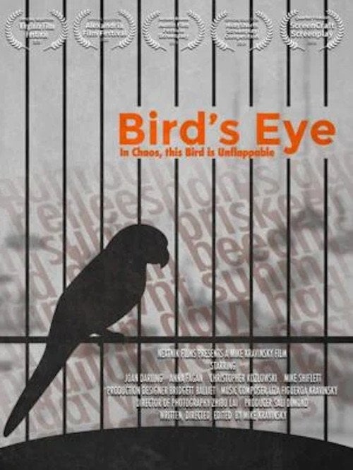 Movie poster for Bird's Eye (2020)