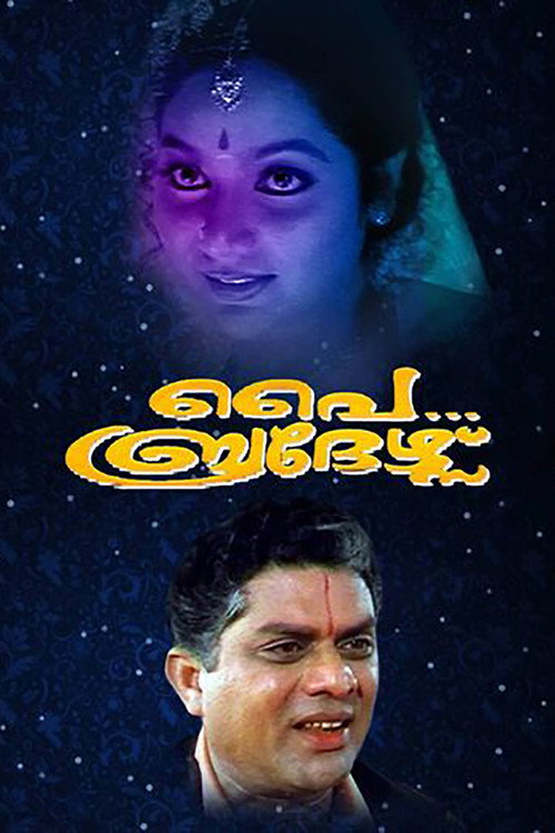 Movie poster for Pai Brothers (1995)