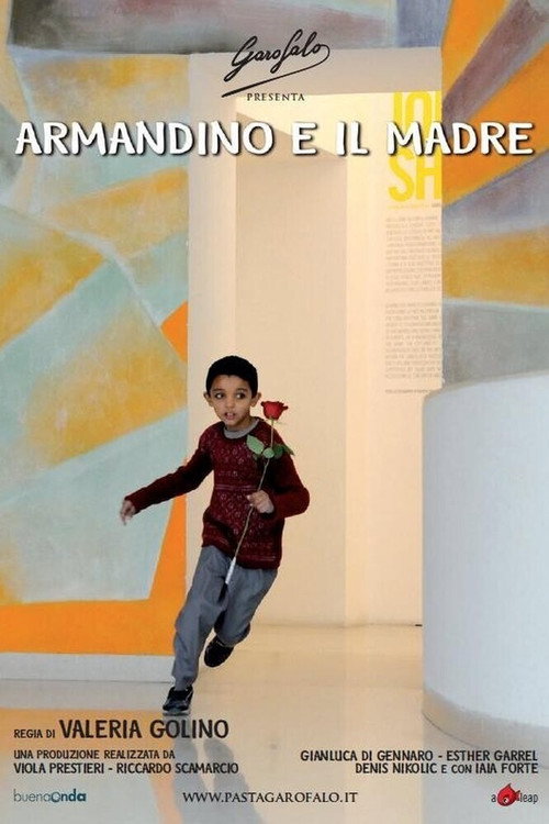 Movie poster for Armandino e il Madre (2010)