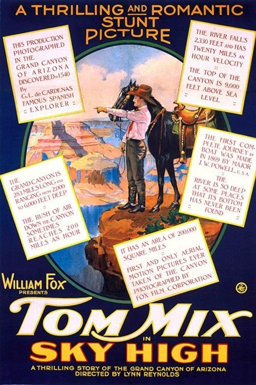 Movie poster for Sky High (1922)