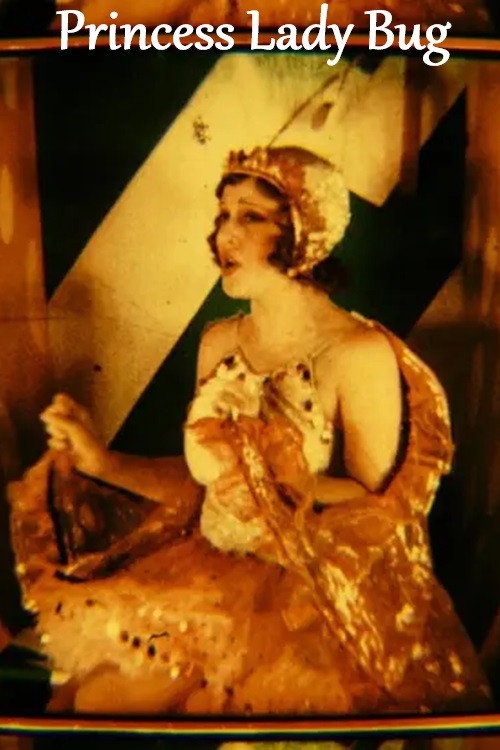 Movie poster for Princess Lady Bug (1930)