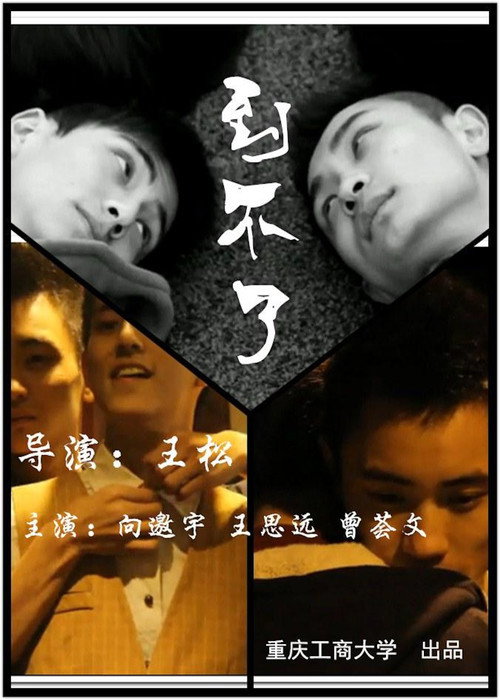 Movie poster for Imperfect
