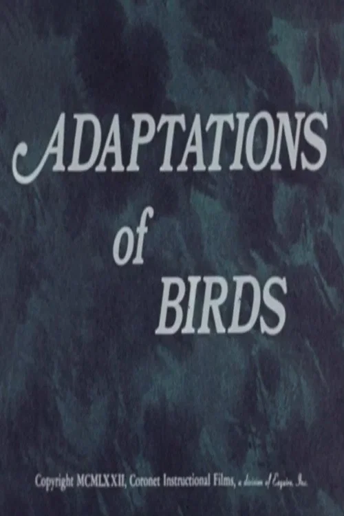 Movie poster for Adaptations of Birds (1972)