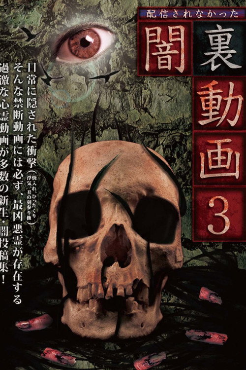 Movie poster for Haishin Sarenakatta Yami Ura Douga 3 (2017)