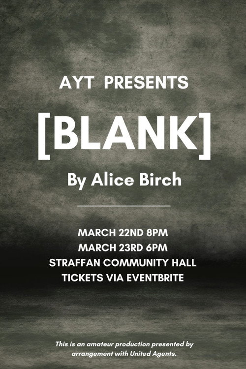 Movie poster for [BLANK] (2025)