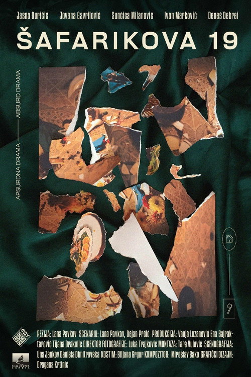 Movie poster for 19 Schaffarik Street (2018)