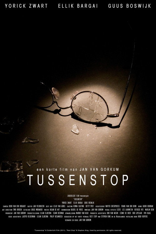 Movie poster for Tussenstop (2011)