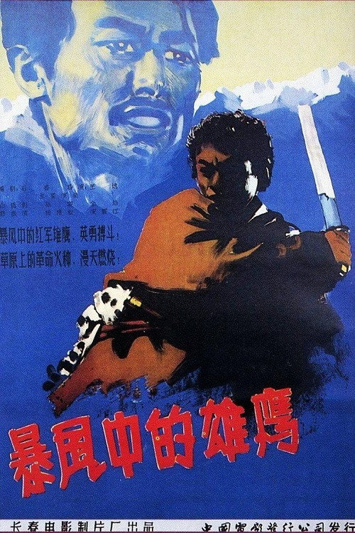 Movie poster for 暴风中的雄鹰 (1957)