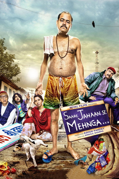 Movie poster for Saare Jahaan Se Mehnga (2013)