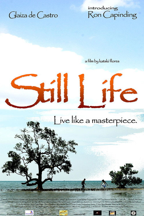 Movie poster for Still Life (2007)
