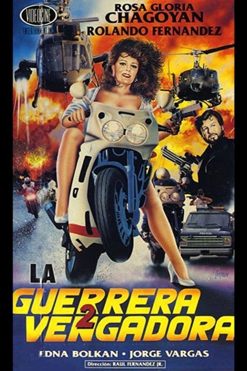 Movie poster for La guerrera vengadora 2 (1991)