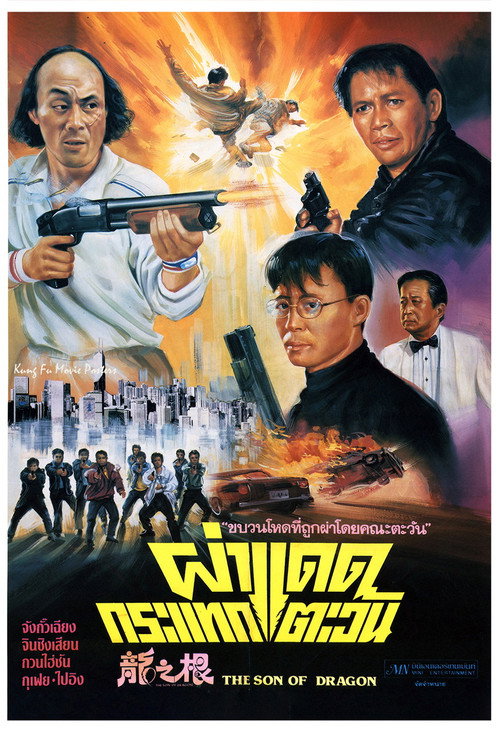 Movie poster for The Son of Dragon (1992)