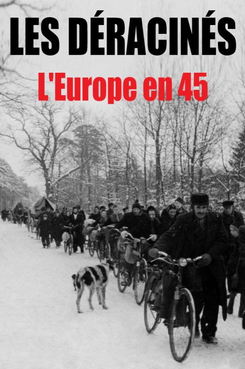 Movie poster for Les déracinés - L'Europe en 45 (2015)