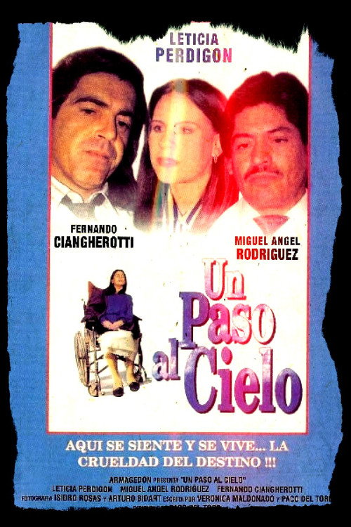 Movie poster for Un paso al cielo (1993)