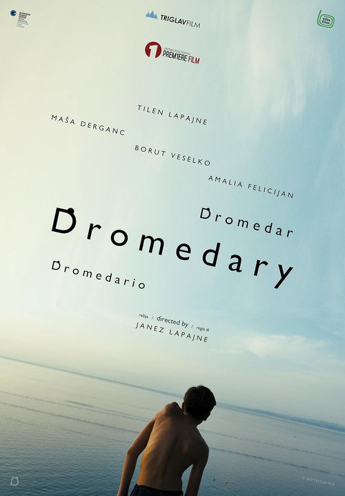 Movie poster for Dromedary (2019)