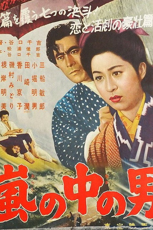 Movie poster for A Man in the Storm (1957)