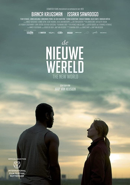 Movie poster for The New World (2013)