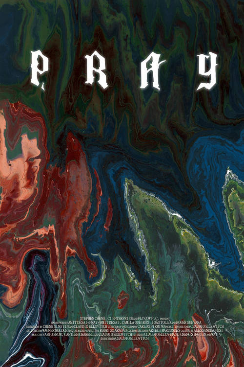 Movie poster for Pray (2014)