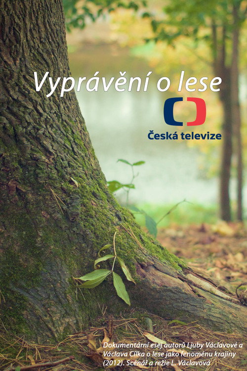 Movie poster for Vyprávění o lese (2012)